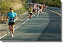 090513-Roses020.jpg  (116.6 Kb)