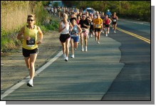 090513-Roses021.jpg  (107.1 Kb)