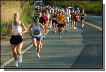 090513-Roses022.jpg  (111.9 Kb)