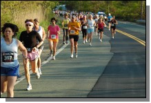 090513-Roses023.jpg  (103.5 Kb)