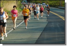 090513-Roses024.jpg  (110.2 Kb)