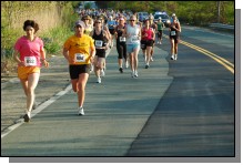 090513-Roses025.jpg  (112.6 Kb)