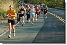 090513-Roses026.jpg  (113.4 Kb)