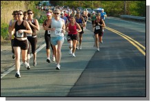 090513-Roses027.jpg  (110.0 Kb)