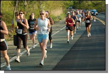 090513-Roses028.jpg  (117.5 Kb)