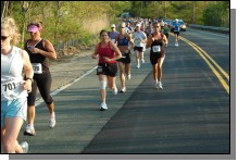 090513-Roses029.jpg  (111.6 Kb)