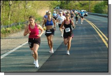 090513-Roses030.jpg  (121.2 Kb)