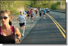 090513-Roses031.jpg  (114.2 Kb)