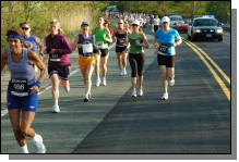 090513-Roses033.jpg  (119.5 Kb)