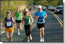 090513-Roses034.jpg  (115.7 Kb)