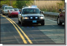 090513-Roses035.jpg  (90.0 Kb)