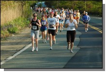 090513-Roses036.jpg  (114.0 Kb)