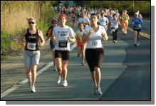 090513-Roses037.jpg  (110.7 Kb)