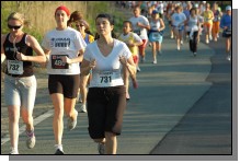 090513-Roses038.jpg  (91.3 Kb)