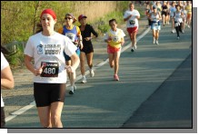 090513-Roses040.jpg  (96.1 Kb)