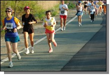 090513-Roses041.jpg  (100.6 Kb)