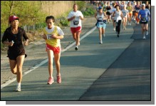 090513-Roses042.jpg  (94.0 Kb)