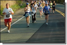 090513-Roses043.jpg  (103.8 Kb)