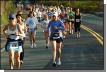 090513-Roses044.jpg  (102.3 Kb)