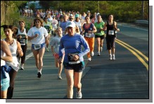 090513-Roses045.jpg  (103.1 Kb)