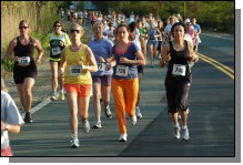 090513-Roses047.jpg  (108.1 Kb)