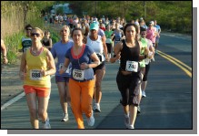 090513-Roses048.jpg  (105.1 Kb)