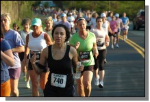 090513-Roses049.jpg  (89.3 Kb)