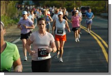 090513-Roses051.jpg  (81.4 Kb)