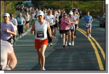 090513-Roses052.jpg  (96.2 Kb)