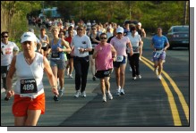 090513-Roses053.jpg  (99.5 Kb)