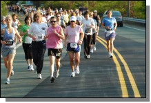 090513-Roses054.jpg  (104.9 Kb)