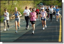 090513-Roses055.jpg  (124.3 Kb)