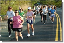 090513-Roses056.jpg  (120.8 Kb)