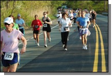 090513-Roses057.jpg  (108.0 Kb)