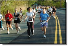 090513-Roses058.jpg  (107.2 Kb)