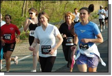 090513-Roses060.jpg  (112.4 Kb)