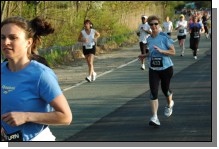 090513-Roses061.jpg  (88.4 Kb)