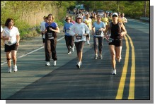 090513-Roses063.jpg  (117.3 Kb)