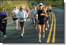 090513-Roses064.jpg  (110.9 Kb)