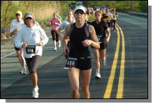 090513-Roses065.jpg  (106.2 Kb)