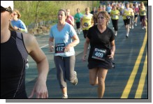 090513-Roses066.jpg  (78.6 Kb)