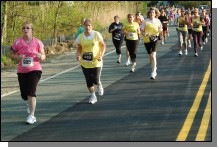 090513-Roses068.jpg  (118.0 Kb)