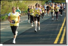 090513-Roses069.jpg  (119.6 Kb)