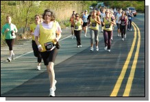 090513-Roses070.jpg  (116.6 Kb)