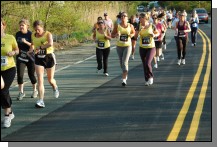 090513-Roses071.jpg  (119.8 Kb)