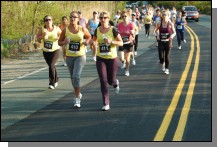 090513-Roses072.jpg  (110.2 Kb)