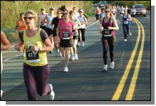 090513-Roses073.jpg  (109.2 Kb)