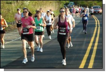 090513-Roses074.jpg  (118.6 Kb)