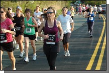 090513-Roses075.jpg  (111.1 Kb)