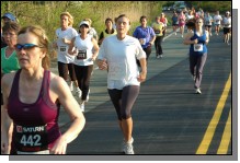 090513-Roses076.jpg  (103.6 Kb)